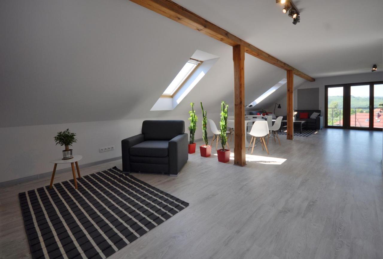 Apartament Widok Na Karkonosze Apartment Jezow Sudecki Exterior photo